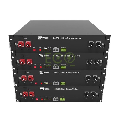 Акумулятор LiFePO4 DYNESS 9.6 кВт 48V/200Ah для системи енергозабезпечення будинку, квартири