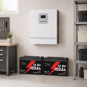 3 кВт LiFePO4 Комплект резервного живлення Інвертор Ameisentech WiFi + 2 акумулятора Idzlldi 12V 100Ah з BMS для будинку, квартири