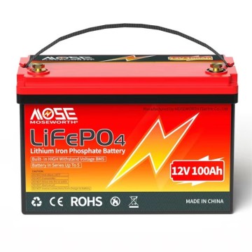 LiFePO4 12V/100Ah Акумулятор MOSEWORTH