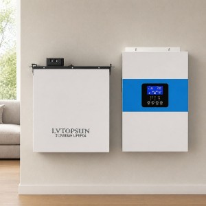 6.5 кВа LiFePO4 Комплект резервного живлення: гібридний інвертор Daxtromn + 48V 100Ah акумулятор Lvtopsun wall