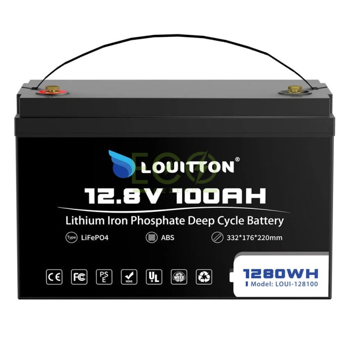 LiFePO4 12V/100Ah Акумулятор Louitton + зарядка LiFePO4 12V/100Ah Акумулятор Louitton + зарядка