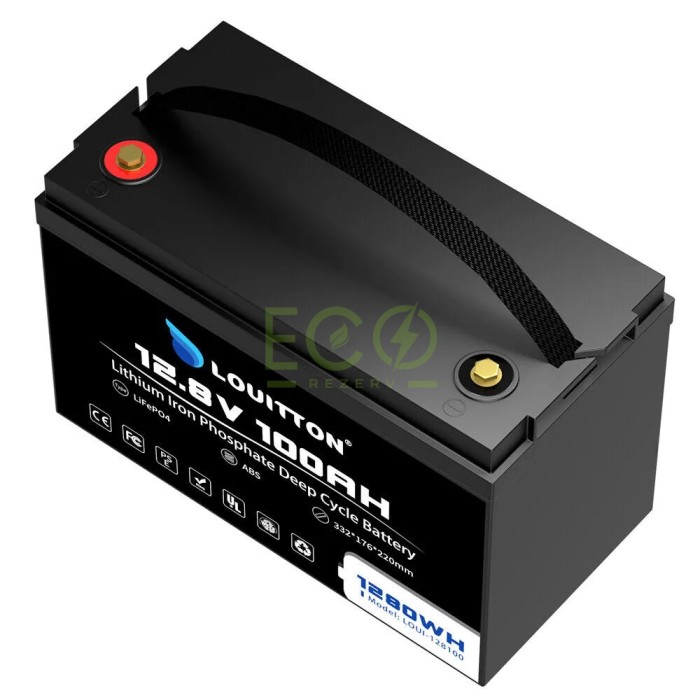 LiFePO4 12V/100Ah Акумулятор Louitton + зарядка LiFePO4 12V/100Ah Акумулятор Louitton + зарядка