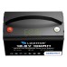 LiFePO4 12V/100Ah Акумулятор Louitton + зарядка