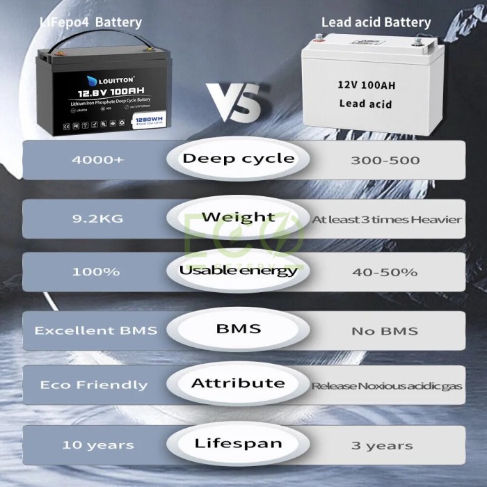 LiFePO4 12V/100Ah Акумулятор Louitton + зарядка LiFePO4 12V/100Ah Акумулятор Louitton + зарядка