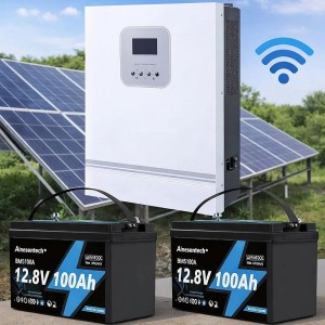 3 кВт LiFePO4 Комплект резервного живлення Інвертор Ameisentech WiFi + 2 акумулятора 12V 100Ah Ameisentech для квартири, будинку